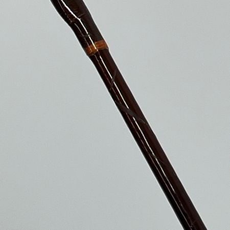 fenwick ロッド HMG GFS 70