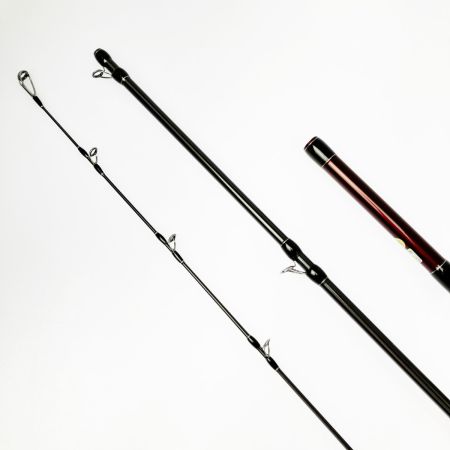  Fishman フィッシュマン BRIST VENDAVAL 8.9M ケース付