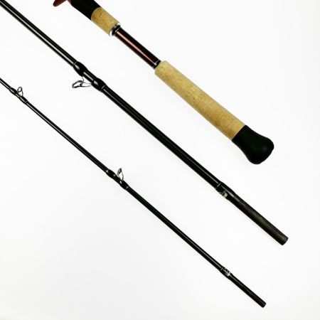  Fishman フィッシュマン BRIST VENDAVAL 8.9M ケース付