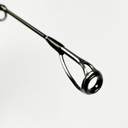  Fishman フィッシュマン BRIST VENDAVAL 8.9M ケース付