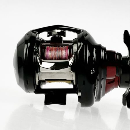  DAIWA ダイワ ベイトリール 21月下美人 AIR TW 8.5R PE SPECIAL 00631512