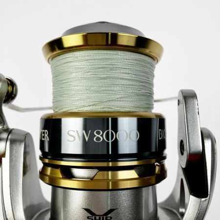  SHIMANO シマノ 13バイオマスター SW10000HG-A 8000番スプール付き 03163
