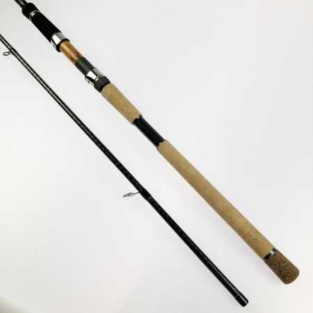  tailwalk テイルウォーク ケイソン 海サクラマスII S106M 17316