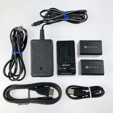  SONY ソニー ハンディカム 4K ビデオカメラ アクセサリーキット付属 FDR-AX45/ACC-TCV7C