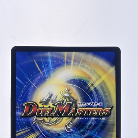   デュエルマスターズ 絶海の虎将 ティガウォック 24EX3SRSP1/SP6 デュエマ