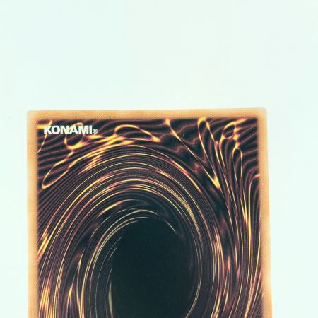   遊戯王 魔術師の弟子-ブラック・マジシャン・ガール ALIN-JP004 SE