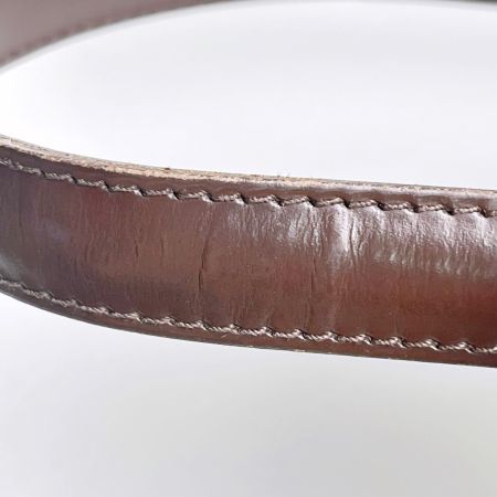  LOUIS VUITTON ルイヴィトン トートバッグ ダミエ パリオリPM N51123 エベヌ