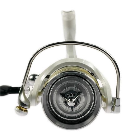  DAIWA ダイワ スピニングリール 17ウインドサーフ 35 太糸 59657