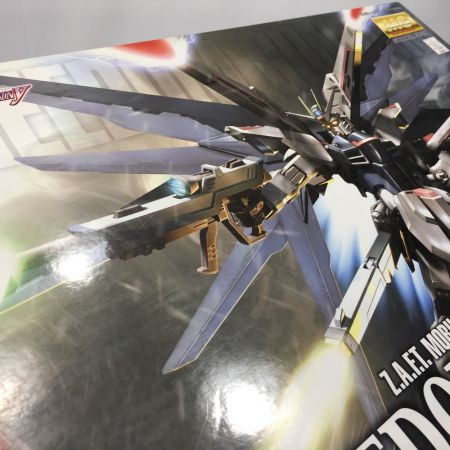  BANDAI バンダイ ガンプラ MG 1/100 フリーダムガンダム エクストラフィニッシュバージョン