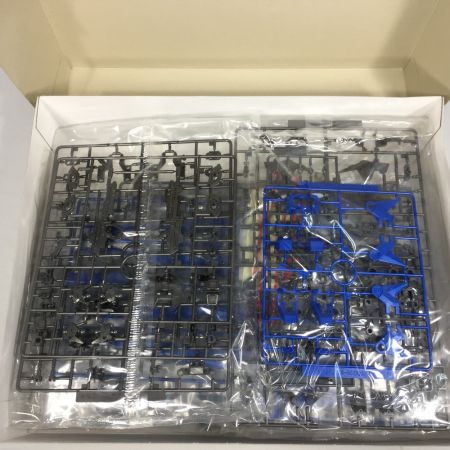  BANDAI バンダイ ガンプラ MG 1/100 フリーダムガンダム エクストラフィニッシュバージョン