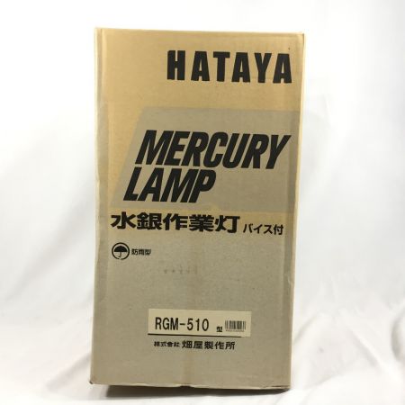  HATAYA ハタヤ 500W 水銀作業灯 バイス付 RGM-510