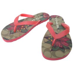 ▼▼ COACH コーチ レディース ビーチサンダル シグネチャー ハイビスカス 24cm FG2607 Bランク