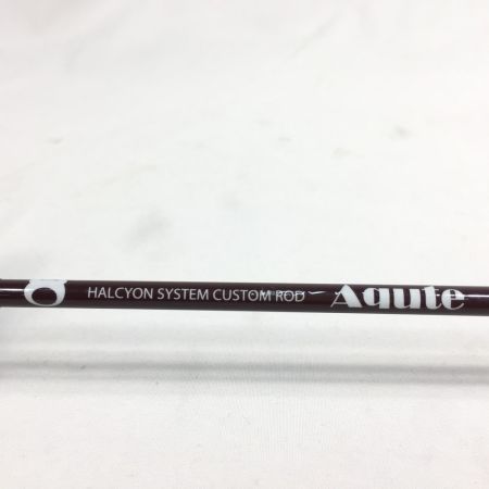  HALCYONSYSTEM ハルシオンシステム ショートベイトロッド Aqute アキュート AQ-C48ML