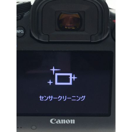  CANON キャノン デジタル一眼レフカメラ EOS 5D Mark III 充電器・バッテリー付属  DS12631 ブラック