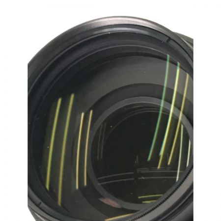  Nikon ニコン レンズ AF-S DXケース付 F4.5-5.6G ED VR 55-300mm