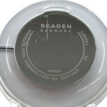  SKAGEN スカーゲン メンズ 腕時計 SKW6605