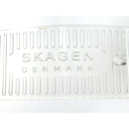  SKAGEN スカーゲン メンズ 腕時計 SKW6605