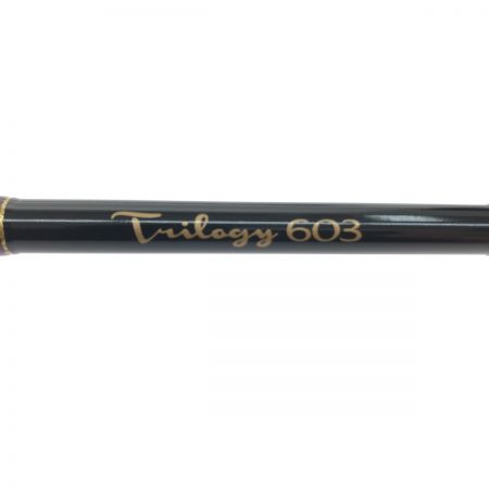  D-3 Custom Lure's ディースリーカスタムルアーズ ルアーロッド BKT-TR603