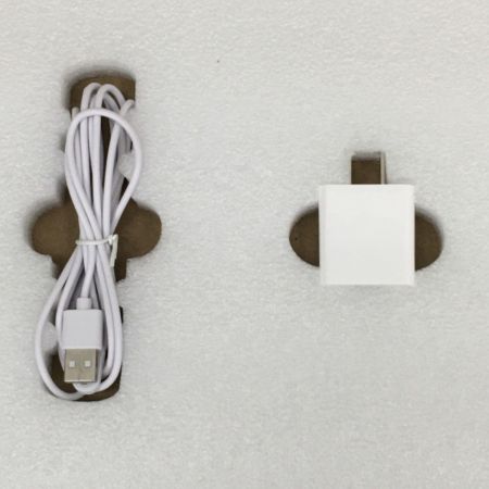   スマートバスマット 体重管理計 スマホアプリ連動 箱破れあり SBM22U01LJ-GY