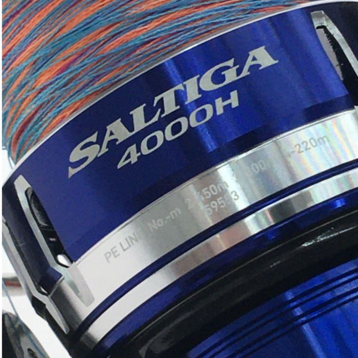 DAIWA ダイワ スピニングリール 15ソルティガ SATIGA 4000H 00059553  