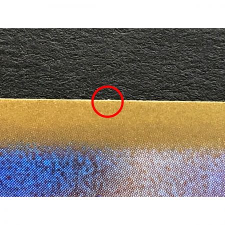   ポケモンカード シンオウの仲間たち 247/172 SR