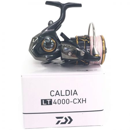  DAIWA ダイワ スピニングリール CALDIA 21カルディア 063220 箱付属
