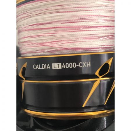  DAIWA ダイワ スピニングリール CALDIA 21カルディア 063220 箱付属