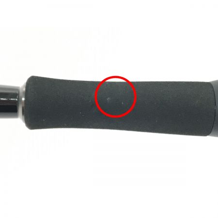  DAIWA ダイワ ルアーロッド LABRAX 21ラブラックスAGS93M・N 05800204