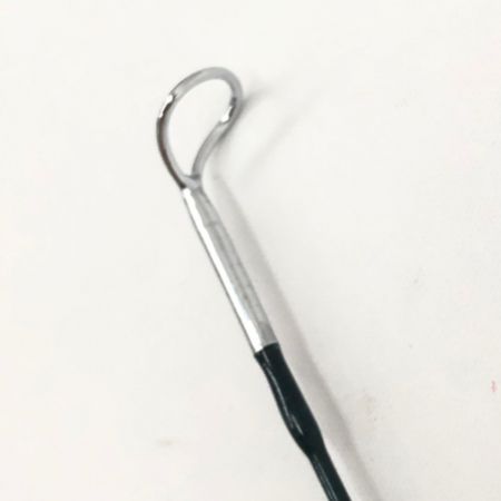  sage セージ フライロッド GRAPHITE Ⅳ グラファイト 790SP #7LINE アルミケース付属