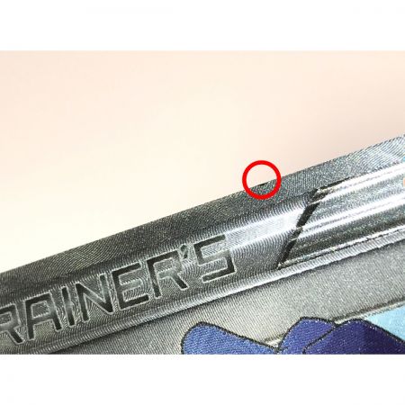   ポケモンカード フウロ 076/070 SR.