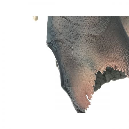  カプコン モンスターハンター 15周年記念 黒龍 ミラボレアス 開封品