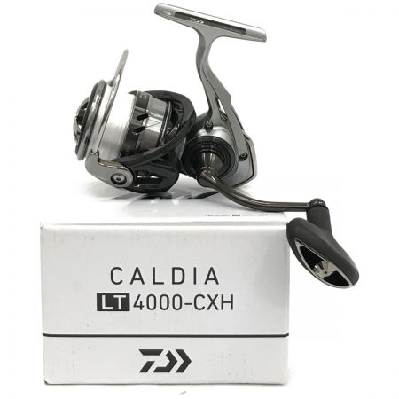 18 カルディアLT4000−CXH 新品 カスタム済みスポーツ/アウトドア