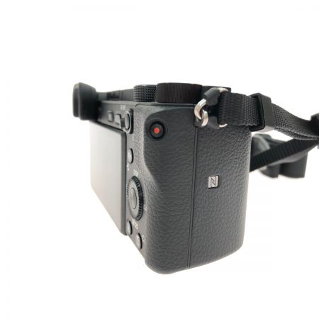  SONY ソニー デジタルカメラ ミラーレス一眼カメラ ダブルズームキット 2500万画素 ILCE-6400Y