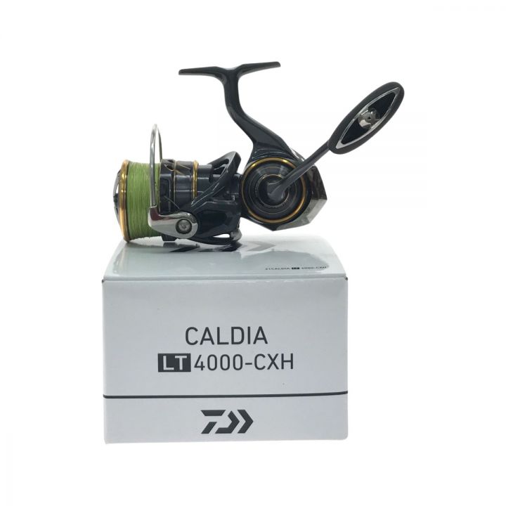 DAIWA ダイワ スピニングリール CALDIA 21カルディア 21カルディア LT4000-CXH 取説・箱付属  傷有｜中古｜なんでもリサイクルビッグバン