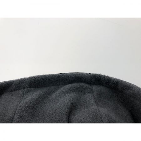  THE NORTH FACE ザノースフェイス メンズ DENALI HOODIE デナリ フーディー ジャケット  MA72052 ライトグレー