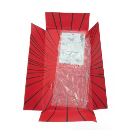  PROJECT BM! メディコム・トイ PROJECT BM! 1/6 金田正太郎 AKIRA 箱傷み 開封品