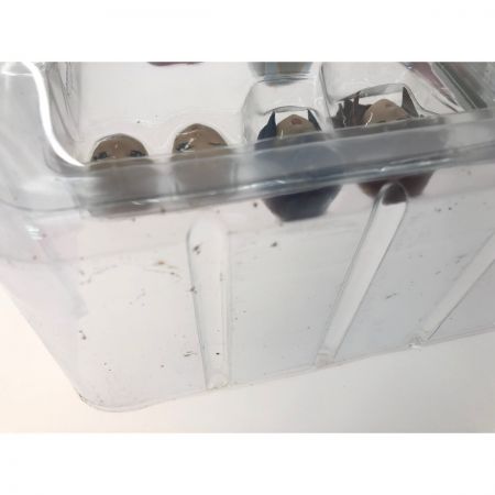  CM'S シーエムズ グッとくるフィギュアコレクション VOL.41 剣狼伝説 レイナ・ストール