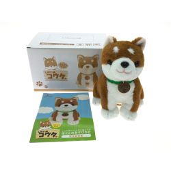 ▼▼  こんにちワン！ しばいぬ コウタ  Bランク