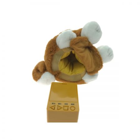   こんにちワン！ しばいぬ コウタ 