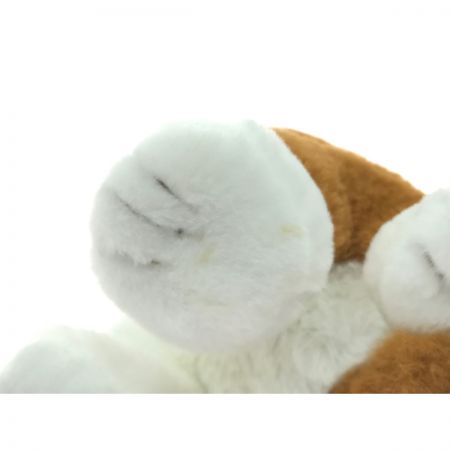   こんにちワン！ しばいぬ コウタ 