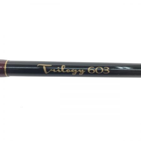  D-3 Custom Lure's ディースリーカスタムルアーズ ルアーロッド ブラキストン トリロジー 603 BKT-TR603