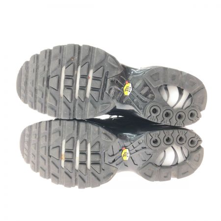  NIKE ナイキ メンズ スニーカー AIR MAX PLUS SIZE 27.5cm 604133-050 ブラック