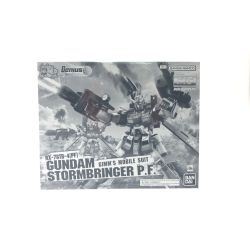▼▼ BANDAI バンダイ ガンプラ 1/100 MG ガンダムストームブリンガー P.F. Sランク