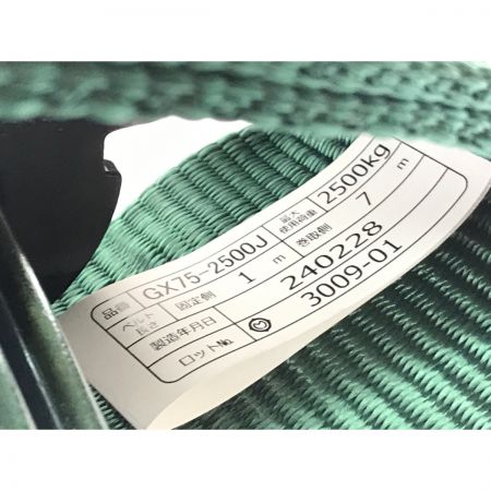  TRUSCO トラスコ 強力型ベルト荷締機 GX75-2500J