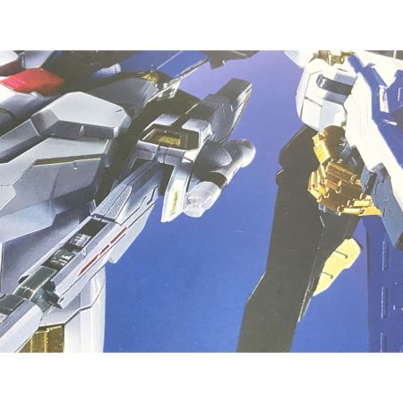   ストライクフリーダムガンダム [METAL BUILD FESTIVAL 2024]「機動戦士ガンダムSEED DESTINY」