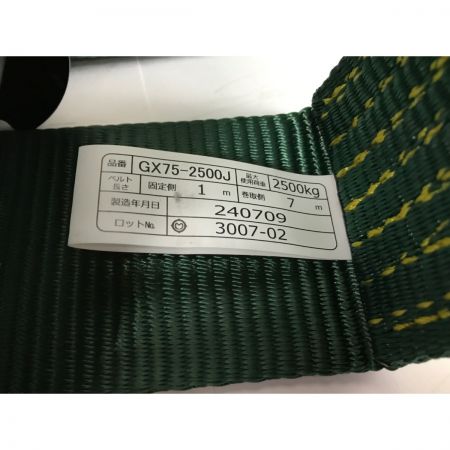  TRUSCO トラスコ 強力型ベルト荷締機 GX75-2500J