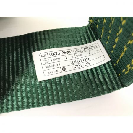  TRUSCO トラスコ 強力型ベルト荷締機 GX75-2500J