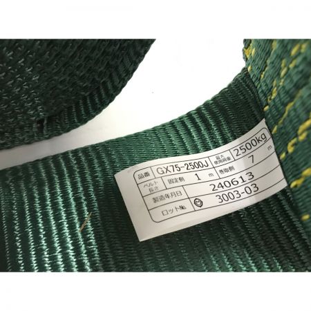  TRUSCO トラスコ 強力型ベルト荷締機 GX75-2500J