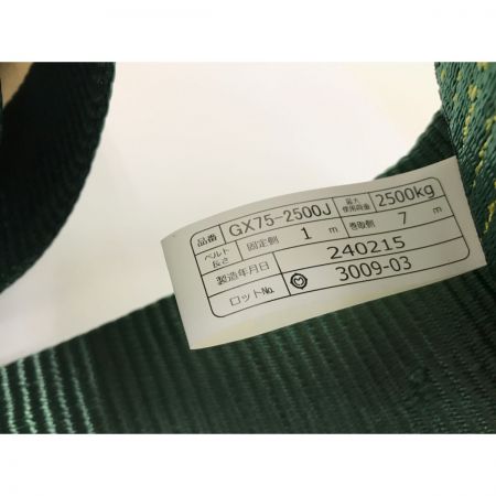  TRUSCO トラスコ 強力型ベルト荷締機 GX75-2500J