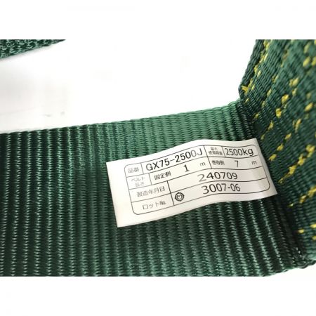  TRUSCO トラスコ 強力型ベルト荷締機 GX75-2500J